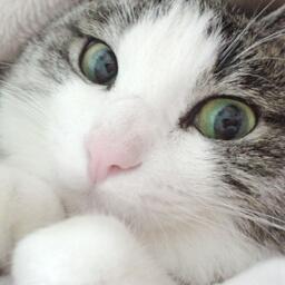 LJKです(*･ω･)都内近辺でぷらぷらしてます(*´∀｀) 携帯ゲームもゎラ╰(‘ω’ )╯三( p_q) maimai/pop'n/ツムツム/パズドラ/モンスト/ウィズ/RAD/ボカロ/ゲームならなんでも！ どなたでもよろしくお願いしますゎラ(*^^*) ゲームのお話気軽にしましょう！ゎら( ・ω・)ゞ
