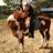 kayln_owens's profile image