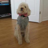 sam noir (@heysamnoir) 's Twitter Profile Photo