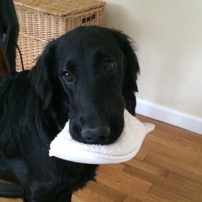 ManganGreg's profile picture. 