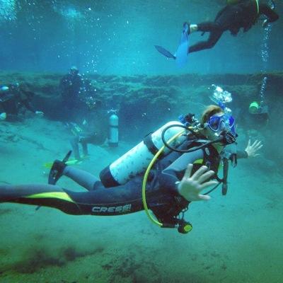 Asheswillfall's profile picture. Third culture kid- wanderlust since birth! Interests include marine science- oysters, blue crabs, fishes and mud (: