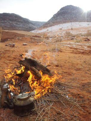 algalbalmhroooo's profile picture. 