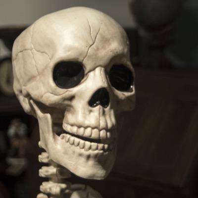 Buying and selling antiques, furniture, collectibles and curiosities @ 26 Normandy Street.