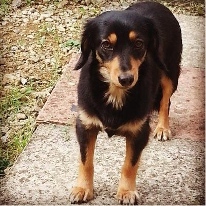 kaylie_fitchett's profile picture. Your born with  two ears and two eyes but only one mouth. speak last...watch cliosely & listen carefully