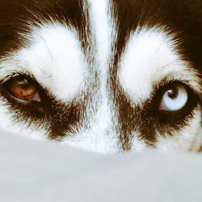cynmac1979's profile image