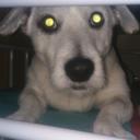 Alejandro carbonell  - @alexcarbonell12 - Twitter