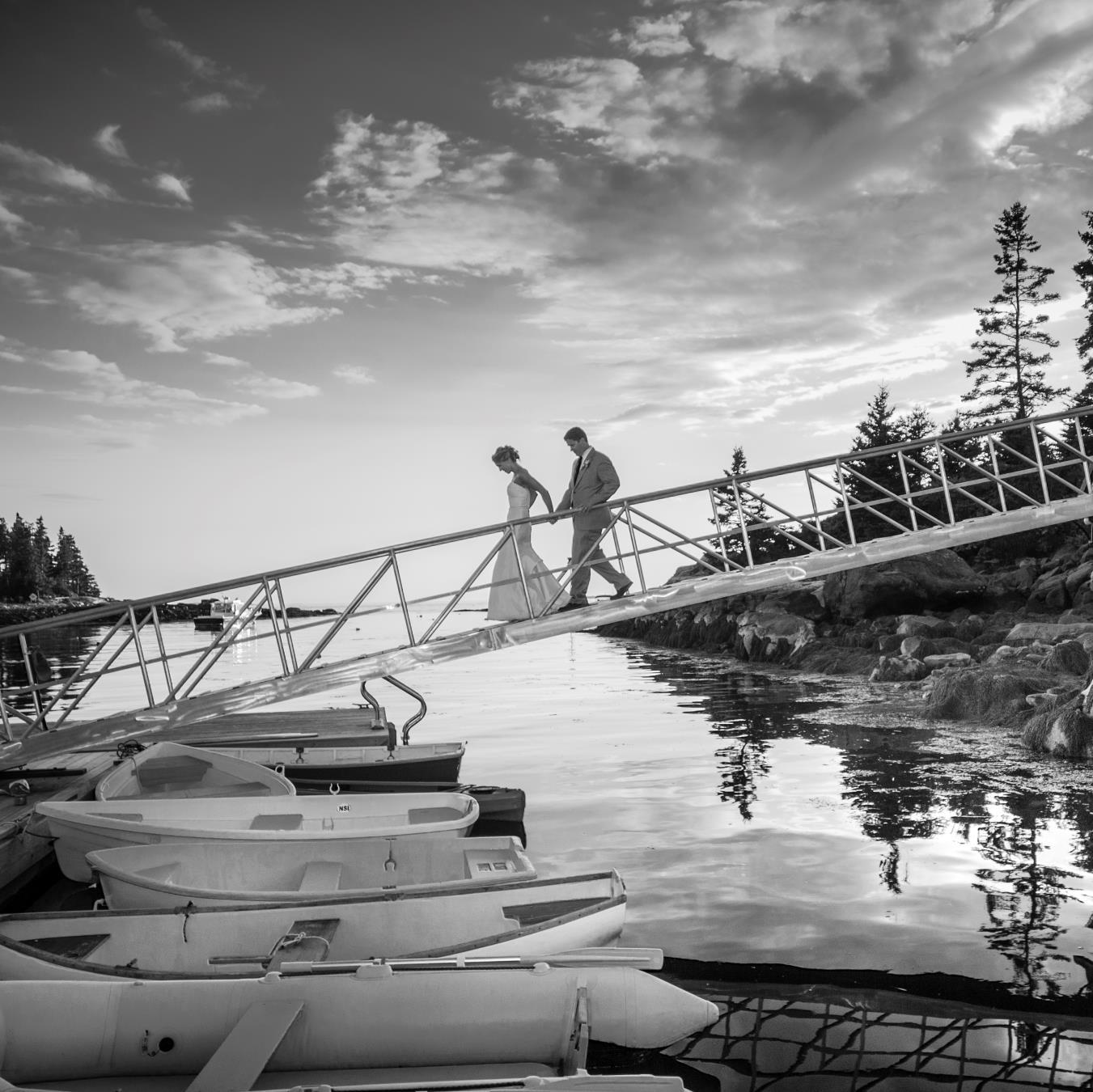 MaineWedding's profile picture. 