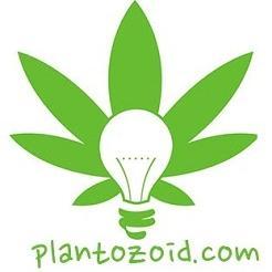A community and a meetup place for all plant enthusiasts and growers. #grow #seed #plants #gardening https://t.co/39WBPoVwkV