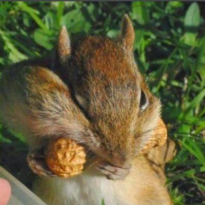 JesseLd215's profile picture. 