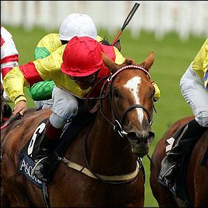 Racehorse Ownership