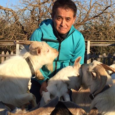 ヤギ🐐 飼い。名前は左から読んでも、右から読んでもisakatakasi 。