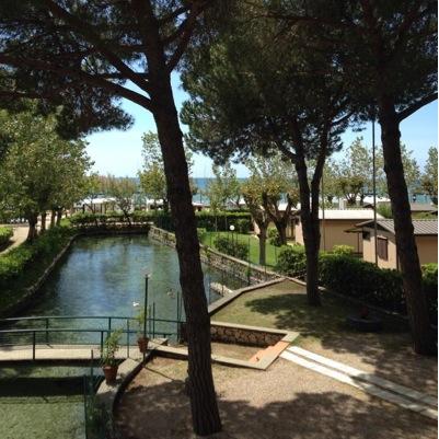 CampeggioE's profile picture. 