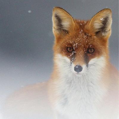 whatnext112's profile picture. 