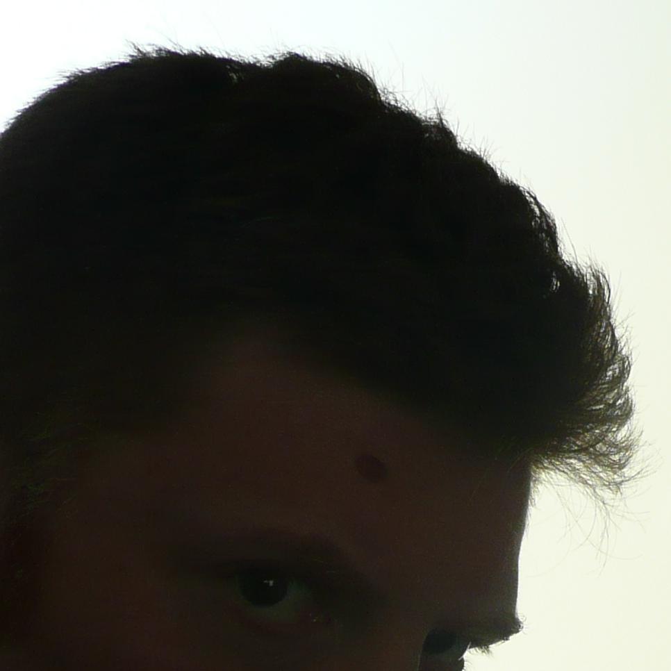 Austrian_Dodo's profile picture. Wer ein zweites Standbein in der Transzendenz hat, ist nicht so leicht umzuhauen.