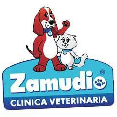 Somos un grupo de  profesionales al servicio de Usted y su mascota