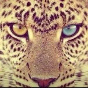 natalia_kami's profile picture. 