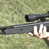 air gun review  (@airgun_fanatic) Twitter profile photo