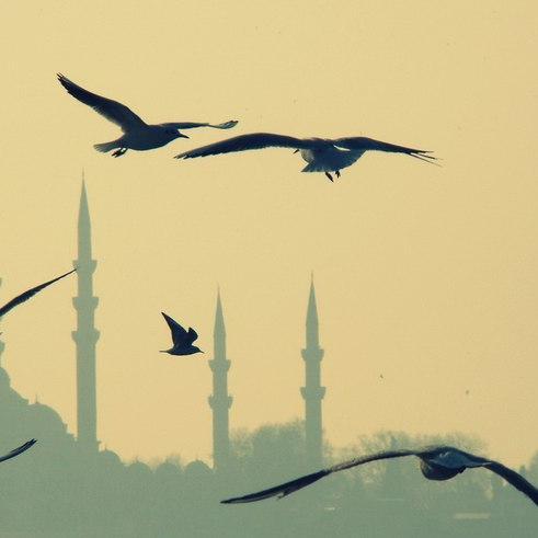 lat_smi's profile picture. 