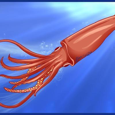#Squid