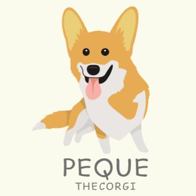 Peque here! I love to play, sleep, eat and poop! Born in Brazil, now living in Argentina with my Peruvian humans! Follow my adventures!