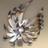 AllNationsTrust's profile image