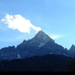 FlavioSears's profile picture. 