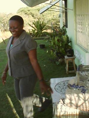 catnodia42's profile picture. 