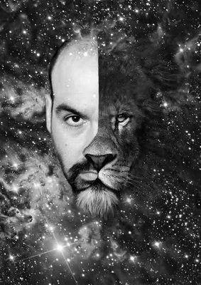 artxfer's profile picture. 