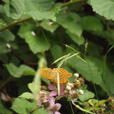 vegan chainsaw boots