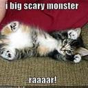 Daniel - @daniel123mcnabb - Twitter