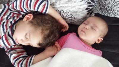 LZeroui's profile picture. 