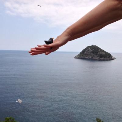 Imparare dal vento