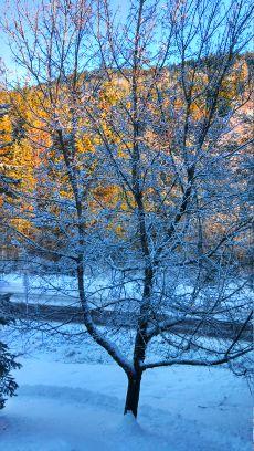 Wine, Yarra Valley, Snow