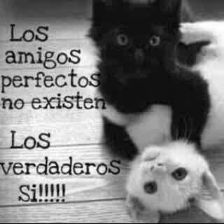 02febc8ebb3243c's profile picture. 