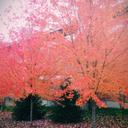 Marlee Green - @MarleeGreen1 - Twitter