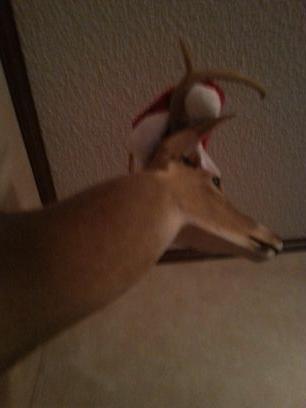 2512298048Steph's profile picture. 