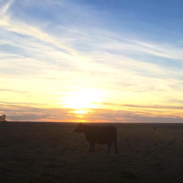 no longer in use, follow my personal @ranching_man, stay yourselves and be true and honest.