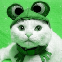 Smarte katten (@smartekatten) 's Twitter Profile Photo