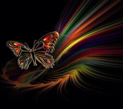 ShHoeft's profile picture. 