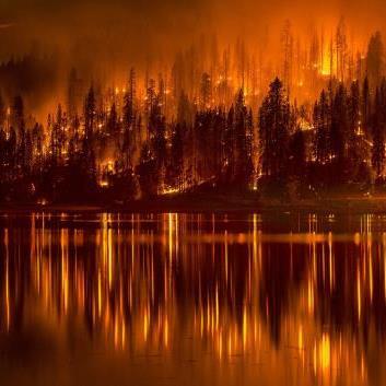 redearthrider's profile picture. 