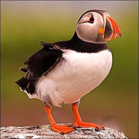 LizWestmorland's profile picture. Going over to Mas  to  don please see pinned tweet