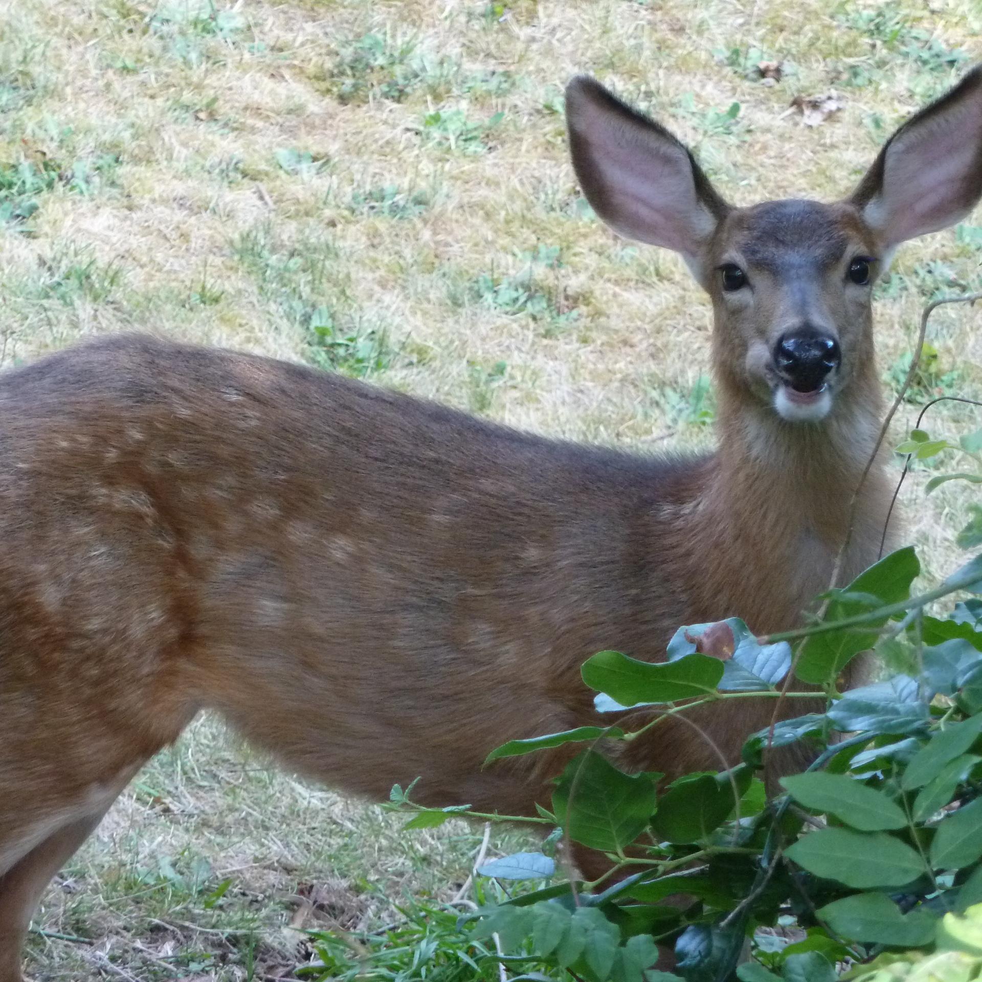 ShazFun_2013's profile picture. Love to inspire and be inspired - everything beautiful in this world. I would love to hear from YOU! @ShazFun_2013 - XOXShaz