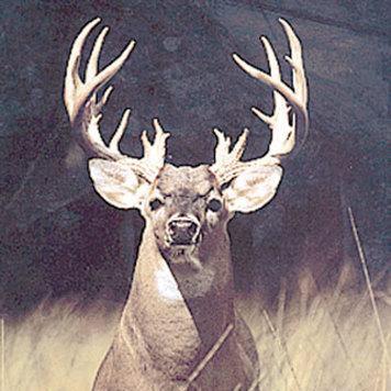 PellhamTrinity's profile picture. dont forget to smile