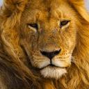 Rees James - @ItsReesJames - Twitter