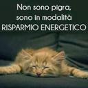 elisa ely - @cucciolaely36 - Twitter