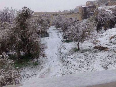 سكاكا..يالباهاآآ