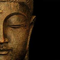 Law of Attraction (@lawofattractlon) 's Twitter Profile Photo Law of Attraction (@lawofattractlon) 's Twitter Profile Photo