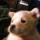 Kari Sims - @karisims2014 - Twitter