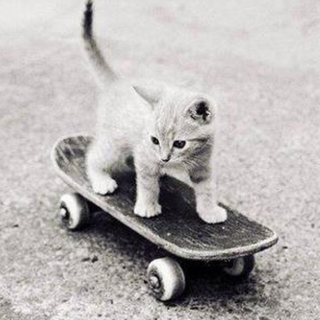 Catabieber1D's profile picture. ❤️