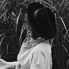 larrystarswpp's profile picture. se quiser entrar no grupo manda o numero na dm